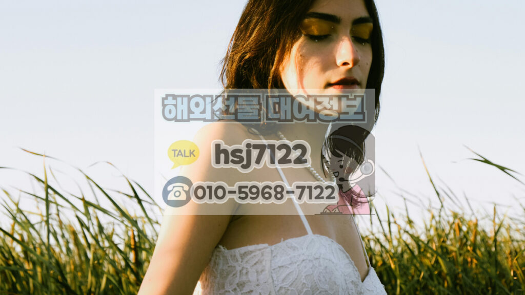 메타5 